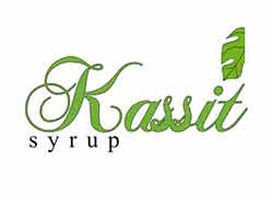 کاسیت 
