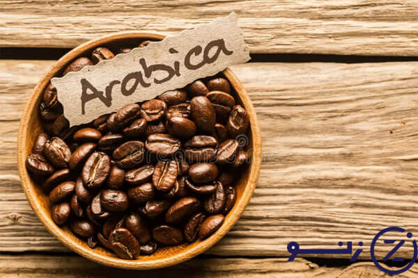 مزایای قهوه عربیکا 